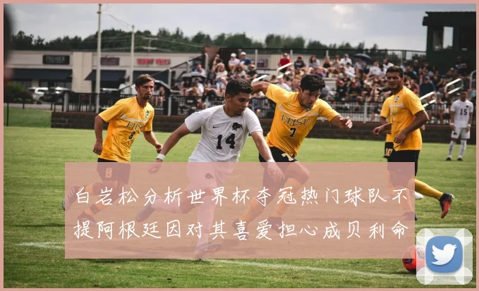 白岩松分析世界杯夺冠热门球队不提阿根廷因对其喜爱担心成贝利命运